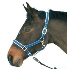 Halster Exclusief