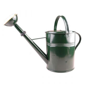 Gieter groen gelakt (9 liter)