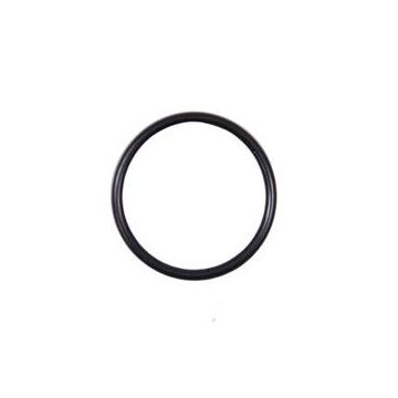 O-ring Hauptner