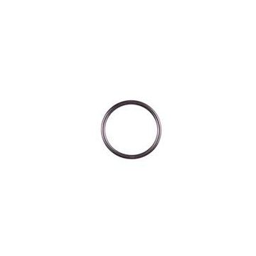 O-ring voor lagers Lister