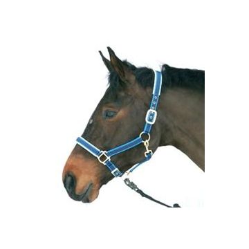 Halster Exclusief