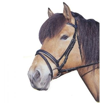 Hoofdstel standaard leer