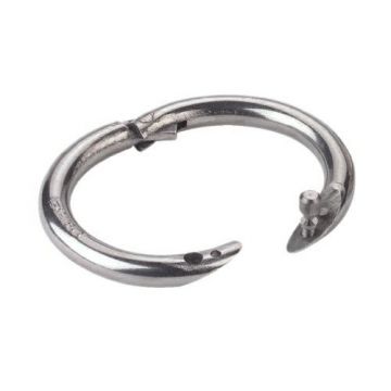 Neusring W-model