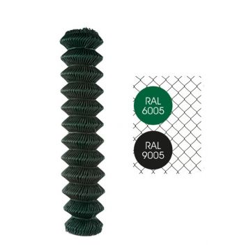 Koolborstel + veer Lister (2 stuks)