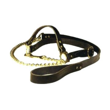 Keuringshalster leer met ketting