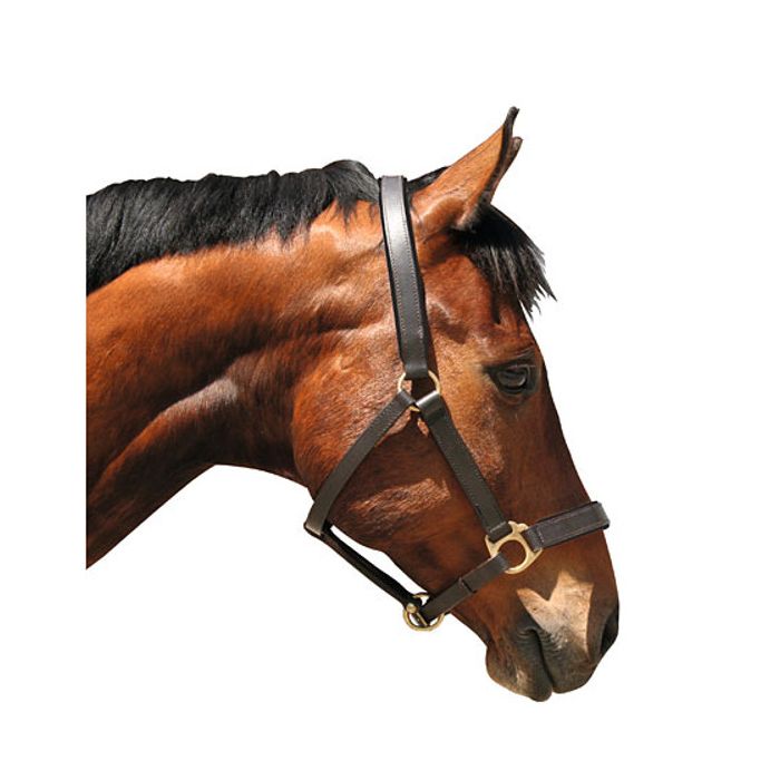 Halster Eco Leder main product photo