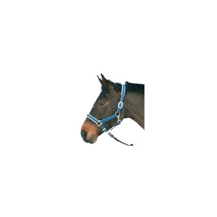 Halster Exclusief main product photo