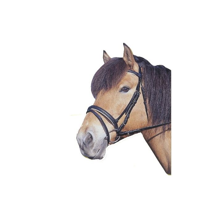 Hoofdstel standaard leer main product photo