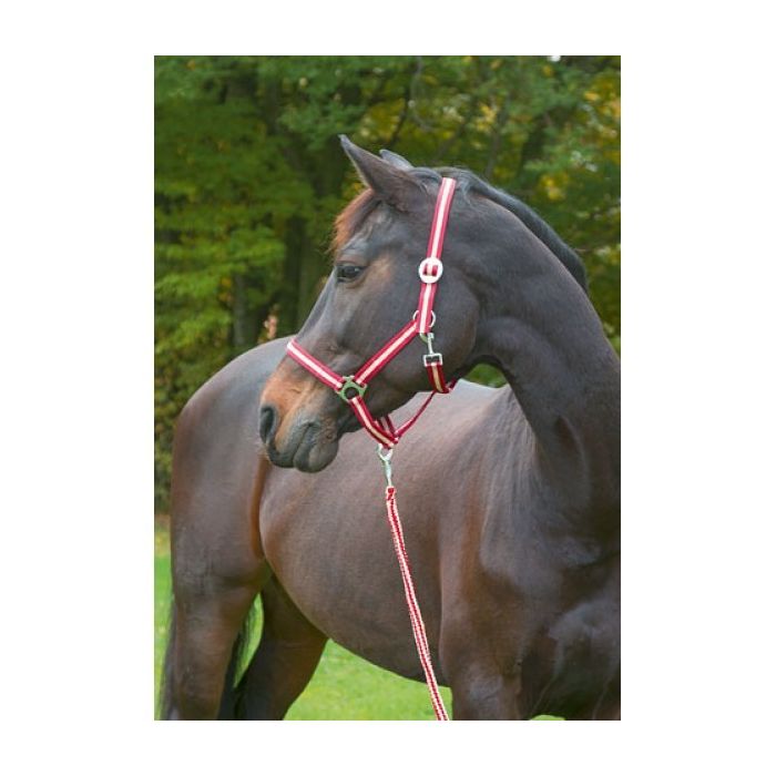 Hippo Halster main product photo