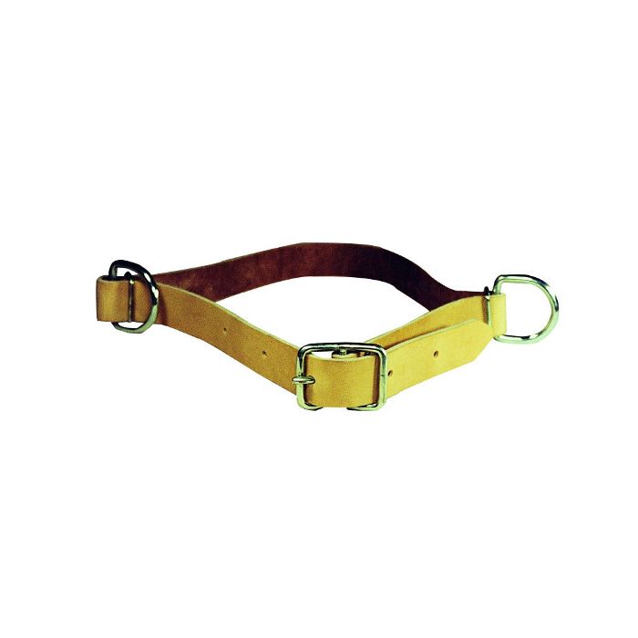Halsriem leer met ring main product photo