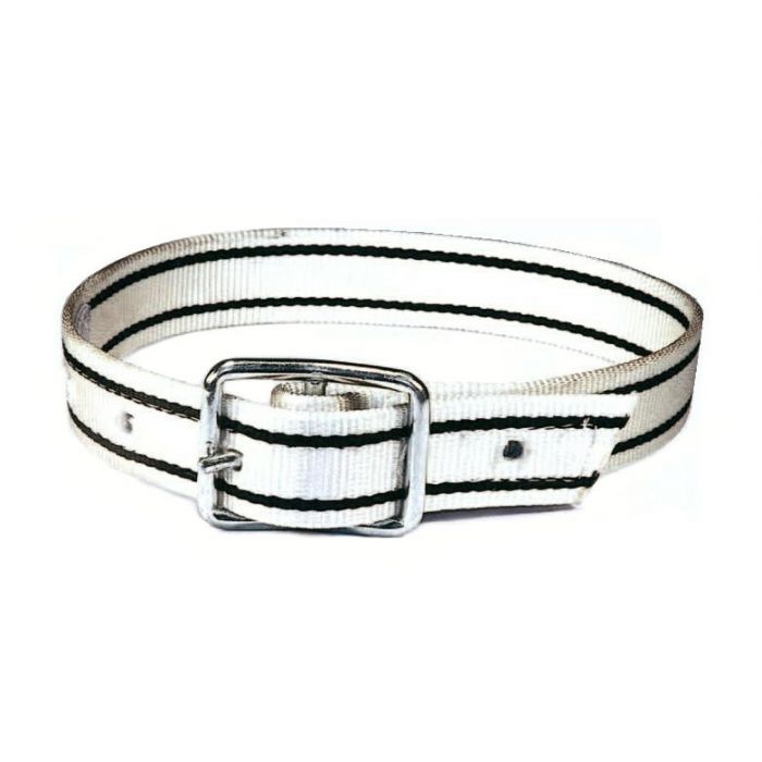 Halsriem nylon met gesp main product photo