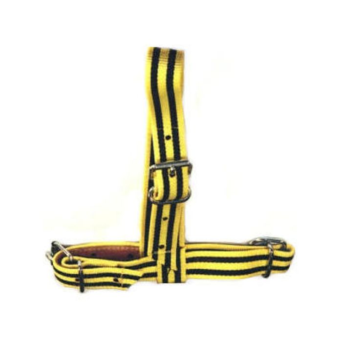 Keuringshalster Nylon main product photo