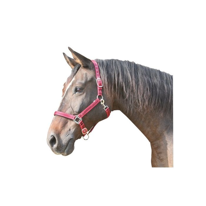 Mustang halster main product photo